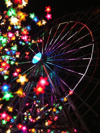 Floral view of ferris wheelの素材