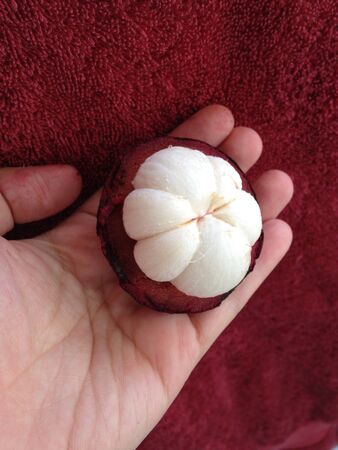 Mangoesteenの素材