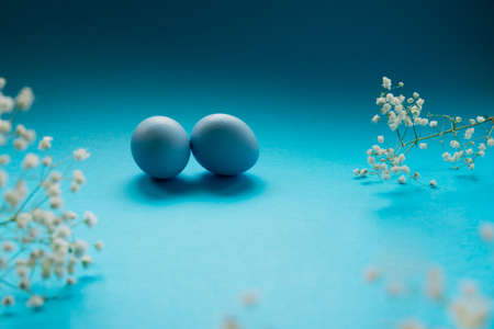 Two blue easter eggs and branches of gypsophila on a blue background.の写真素材