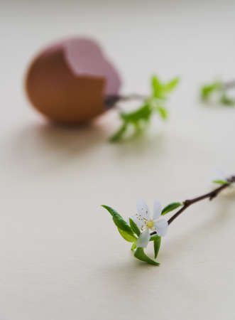 Green branches with leaves and flowers in an egg shell on a light background.の写真素材