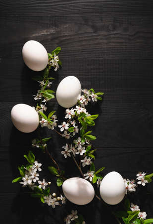 White chicken eggs lie in a flowering branch of cherry on a black wooden background. Conceptual easter layout. Still life in a rustic style. Gardening and farming. Symbol.の写真素材