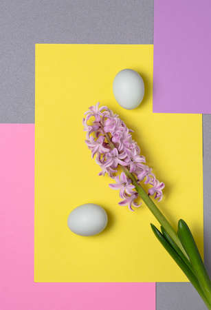 Two chicken eggs and a hyacinth flower on a background of colorful blocks. Creative. Postcardの写真素材