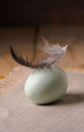 Delicate blue chicken egg and feather close-up. Easter. Organic farming.の写真素材