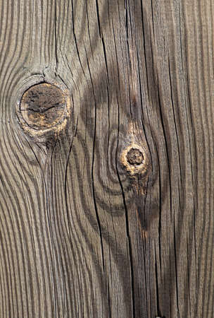 Close-up of texture of old wood. Natural wood board with knots, cracks and scuffs.の写真素材