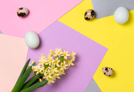 Easter chicken and quail eggs and hyacinth flower top view on a background of colored blocks. Creativeの写真素材