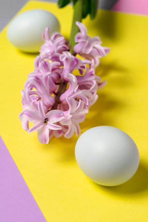 Easter chicken eggs and hyacinth close-up on a background of colored blocks. Creative food photo conceptの写真素材