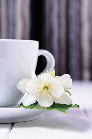 Close-up of a white porcelain cup and next to a fresh jasmine flower. Tea break. Harmony. Rest at homeの写真素材