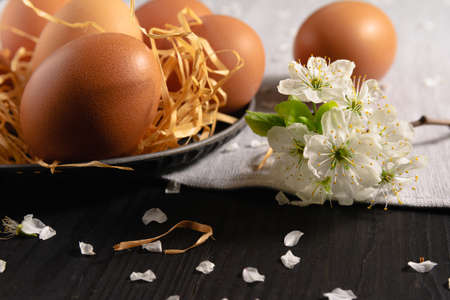 Blooming cherry branch and chicken eggs in a plate. Happy easter and spring conceptの写真素材