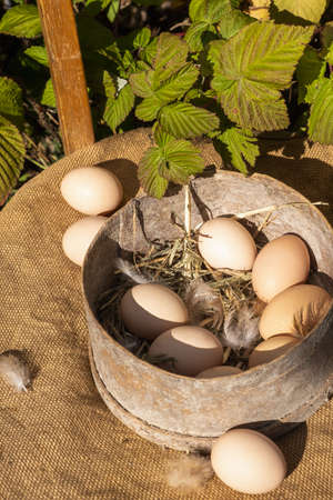 Raw fresh chicken eggs lie in an old wooden sieve for flour. Collecting eggs in the countryside. Eco-friendly products.の写真素材