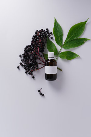 Clusters of ripe elderberries and elderberry syrup in a glass bottle on a white background.の写真素材