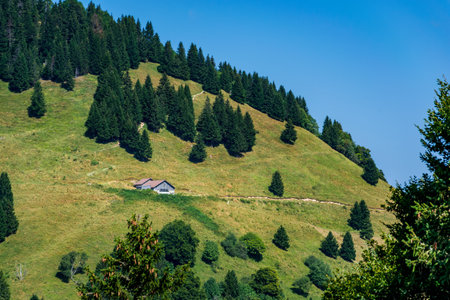 Forested Slopes of the French Alpsの写真素材