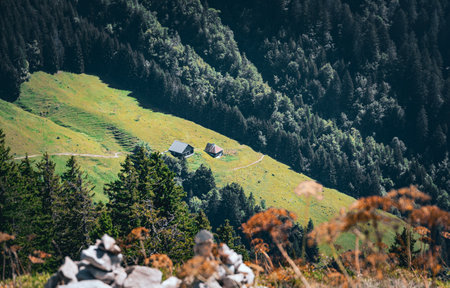 Two remote alpine cabins in the forested mountainsの写真素材