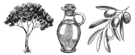 Hand drawn olive setの写真素材