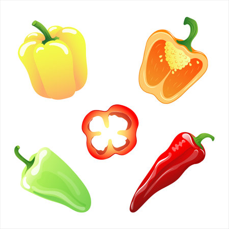Set of illustrations of different types of peppersのイラスト素材