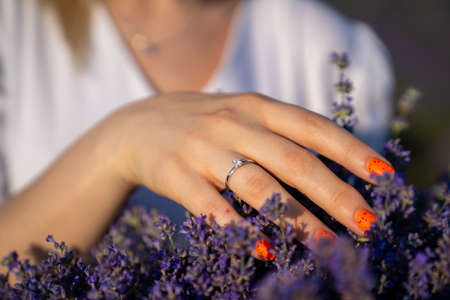 close-up hands of a woman holding purple lavender flowers bouquet. young girl hand manicure with engagement diamond ring, on the background of a purple lavender fieldの素材 [FY310189917287]