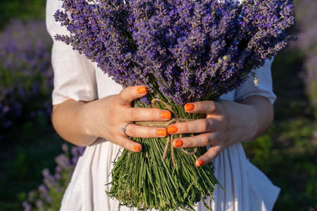 close-up hands of a woman holding purple lavender flowers bouquet. young girl hand manicure with engagement diamond ring, on the background of a purple lavender fieldの写真素材