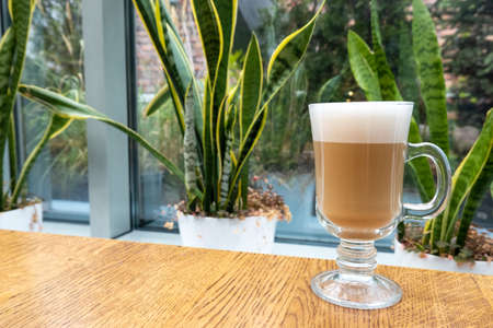 latte with foam in transparent glass on wooden table in cafeteria. There are plants indoors. Cozy atmosphere in cafe for breakfastの写真素材