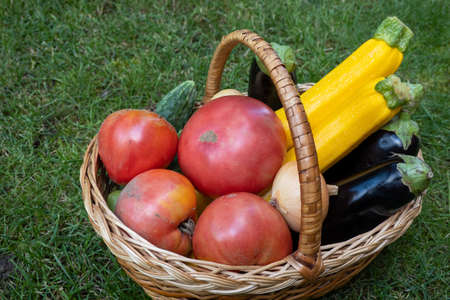 wooden basket full of fresh ripe vegetables: tomato, cucumber, onion, zucchini, eggplant on grass. Early harvest on market. Concept of healthy eating lifestyle diet nutrition.の写真素材