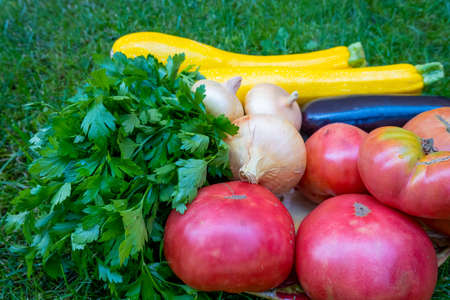 plate of fresh ripe vegetables: tomato, cucumber, onion, zucchini, courgette, eggplant, parsley at home. Early harvest on market. Concept of healthy eating lifestyle diet nutritionの写真素材