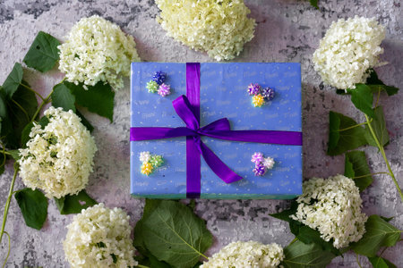 hydrangea flower, purple color gift box with violet ribbon bow on grey background. Concept: holiday, celebration, birthday, New Year, Christmas, Valentines Day, Mothers Day, Thanksの写真素材