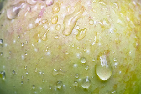 close-up of water drops on green apple, dew texture, cover or backgroundの写真素材