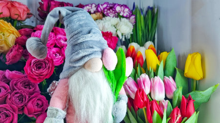 beautiful bouquet of spring flowers, toy nisse gnome with tulips, dwarf in grey hat, happy international woman's day 8 march, congratulations to mother's dayの写真素材