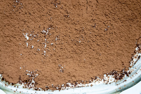 sprinkled cocoa powder texture on cake, top view of home made tiramisu dessert, cooking and culinaryの写真素材