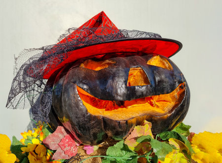 Halloween street decoration. Black dark pumpkin head in red spider hat, cut face from autumn vegetable. Carved pumpkin faceの写真素材