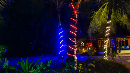 neon lights in the park. Trees decorated with garland, night illumination of resortの写真素材