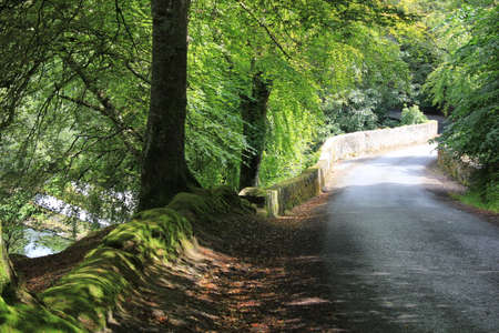 Irish Countryside Roadの写真素材