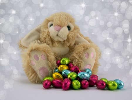 Fluffy bunny with brightly coloured easter eggs.