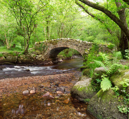 Hisley Bridge,Hisley wood,Dartmoor Devon Uk の写真素材