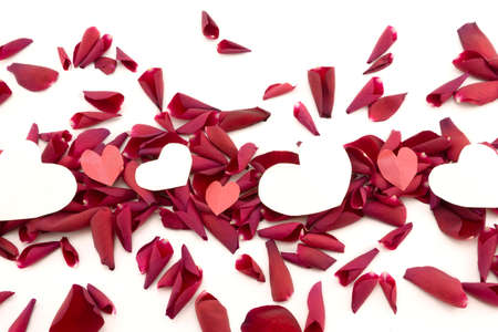 Petals and hearts