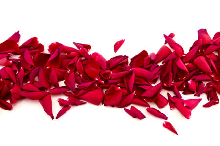 Rose petal border