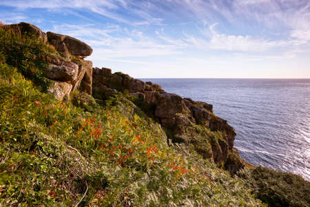 Cliff tops near Porth Nanven Cornwall Uk