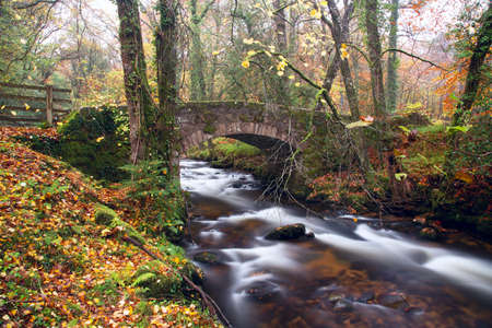 Buckland bridge autumn Dartmoor Devon