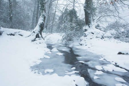 small mill leat frozen in winter near okehampton devon ukの写真素材