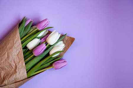 Flowers tulips on a purple background. Top view.の写真素材