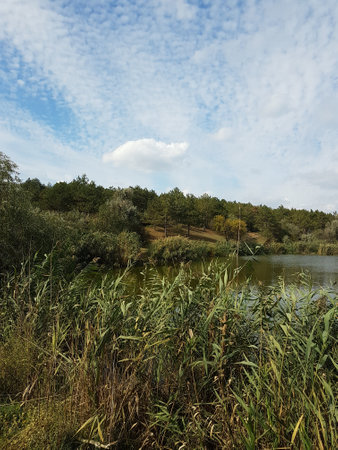 Beautiful lake in a village near a pine forest Nature backgroundの写真素材