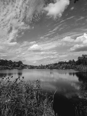 Beautiful lake in a village near a pine forest Nature backgroundの写真素材
