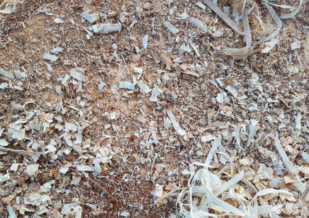 Wood shavings and chips texture closeupの写真素材