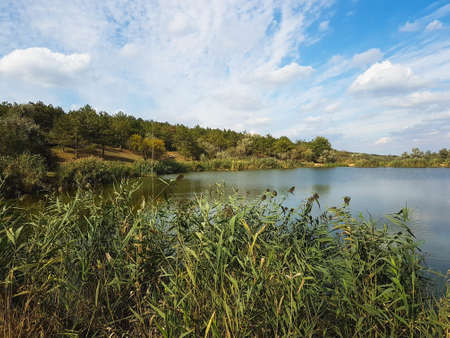 Beautiful lake in a village near a pine forest Nature backgroundの写真素材