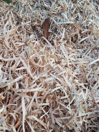 Wood shavings and chips texture closeupの写真素材