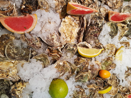 Fresh oyster sea food lie on the counter on ice in store close upの写真素材