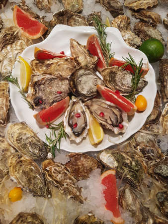 Fresh oyster sea food lie on the counter on ice in store close upの写真素材
