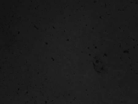 Black and white loft atmospheric concrete wall textureの写真素材