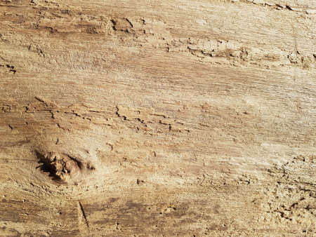Old vintage rustic aged antique wooden panel background textureの写真素材