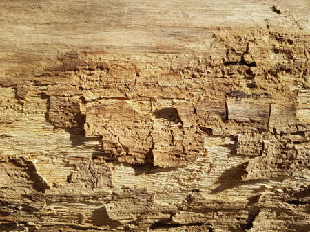 Old vintage rustic aged antique wooden panel background textureの写真素材