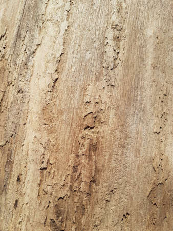 Old vintage rustic aged antique wooden panel background textureの写真素材
