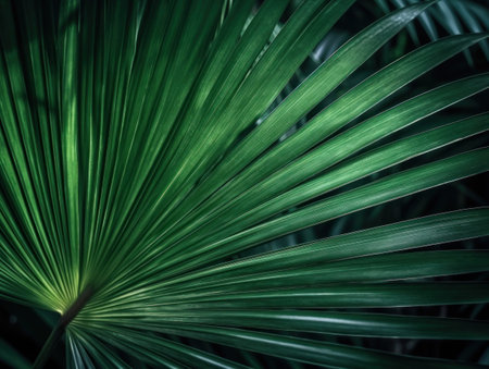 Green palm leaf close up. tropical background. Copy space for text. Created with Generative AI technologyの素材